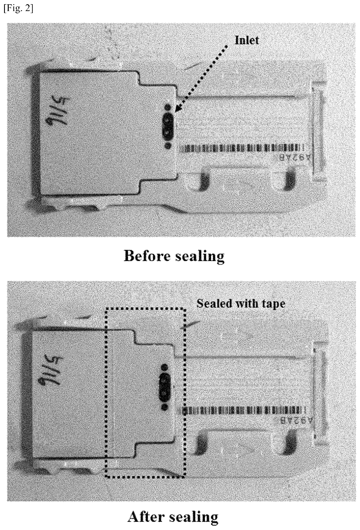 Methods for retrieving sequence-verified nucleic acid fragments and apparatuses for amplifying sequence verified nucleic acid fragments