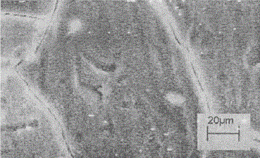 Preparation method of novel corrosion-resisting zinc cathode plate