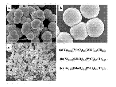 Preparation method of chemical solution of terbium-doped tungsten molybdate green fluorescent microcrystalline