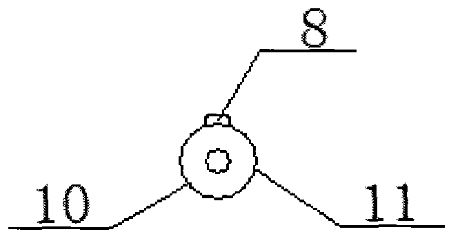 Device for trapping finless eel and loach