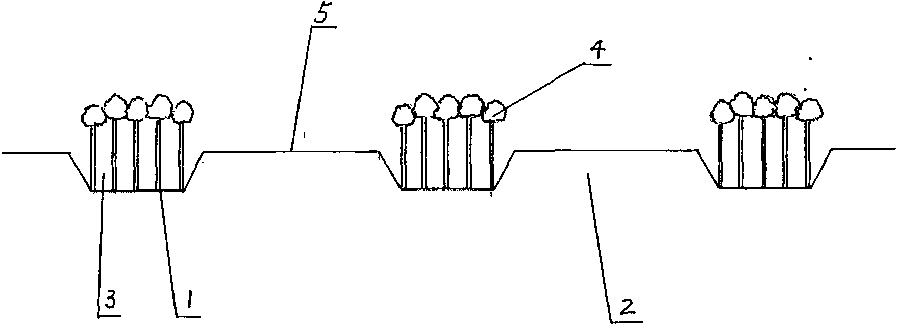 Mixed type protection forest combining configuration method in agricultural and animal husbandry crisscross region