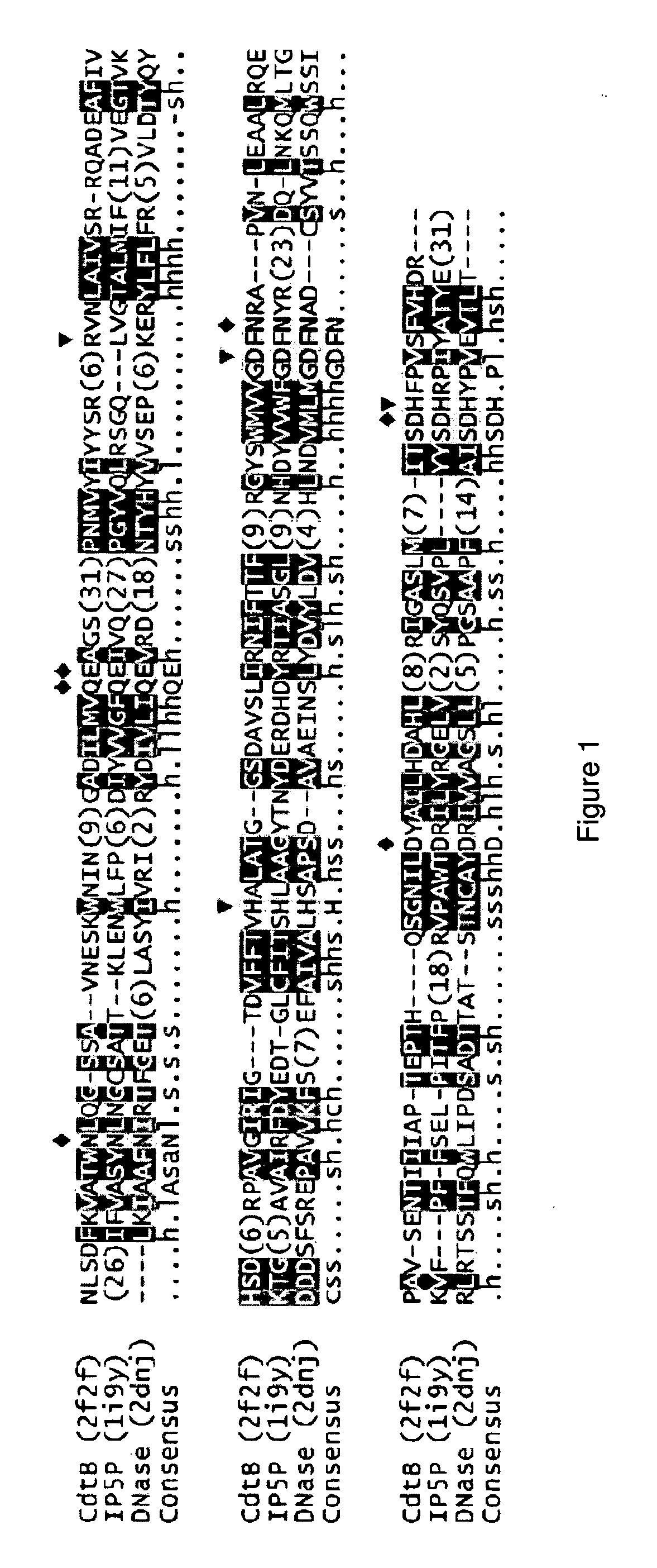 Cytolethal distending toxin, inhibition and use thereof