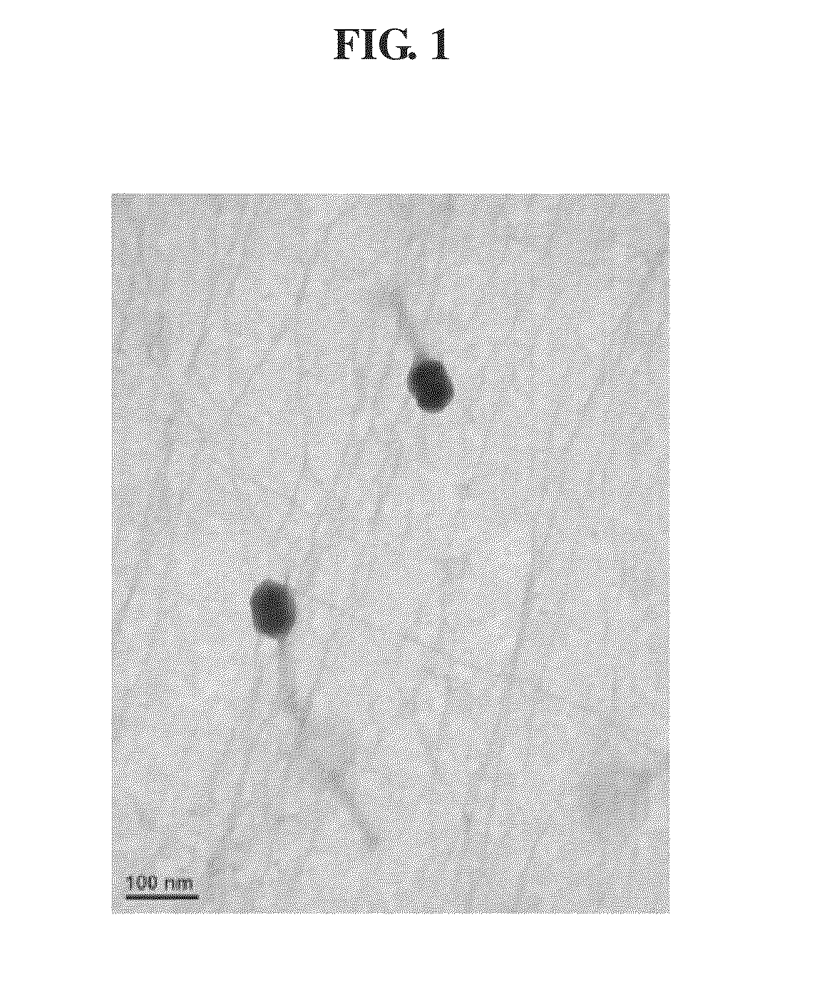 Method for prevention and treatment of <i>Escherichia coli </i>infections using a bacteriophage with broad antibacterial spectrum against <i>Escherichia coli </i>