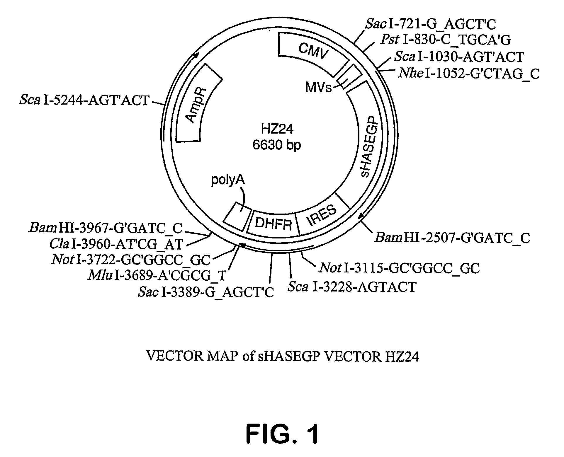 Soluble Glycosaminoglycanases and Methods of Preparing and Using Soluble Glycosaminoglycanases