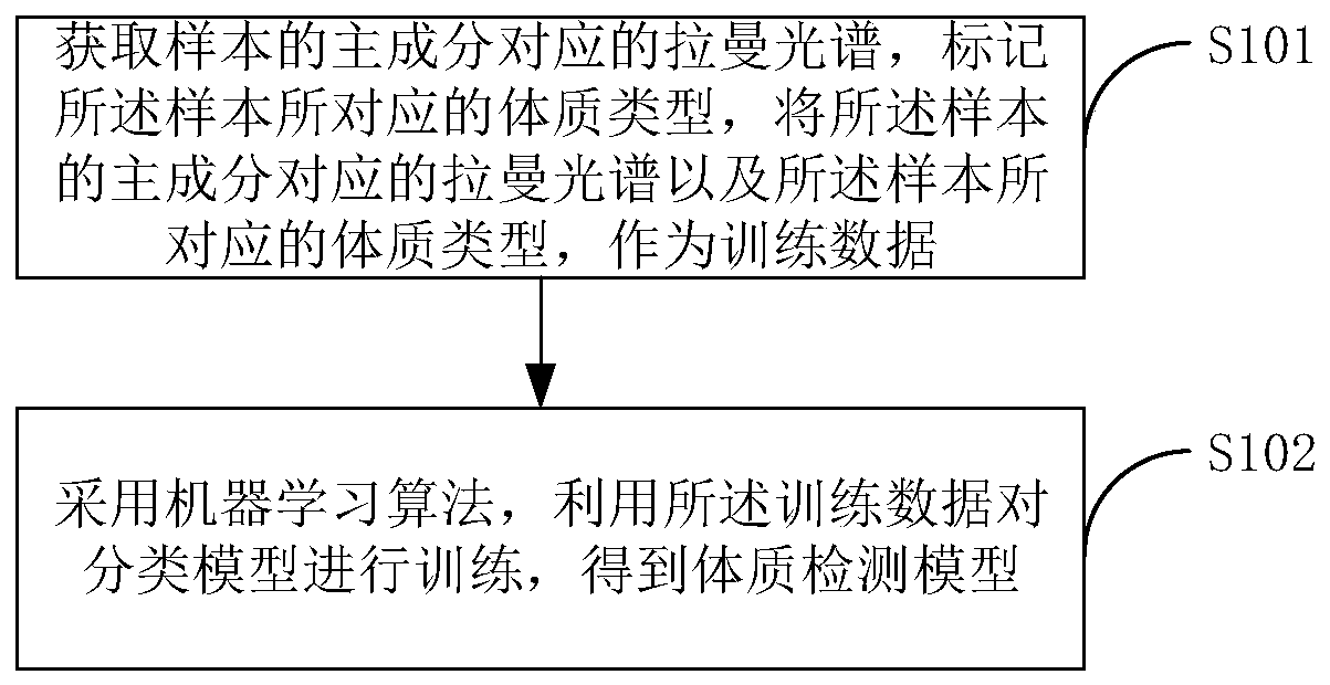 Physique detection model construction method, physique detection method and related equipment