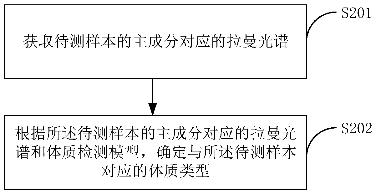 Physique detection model construction method, physique detection method and related equipment