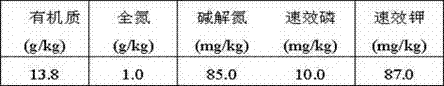 Selenium and ferrum-enriched organic inorganic fertilizer and application method thereof