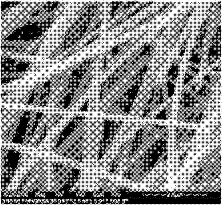 Preparation method of Sb2S3 nanowire