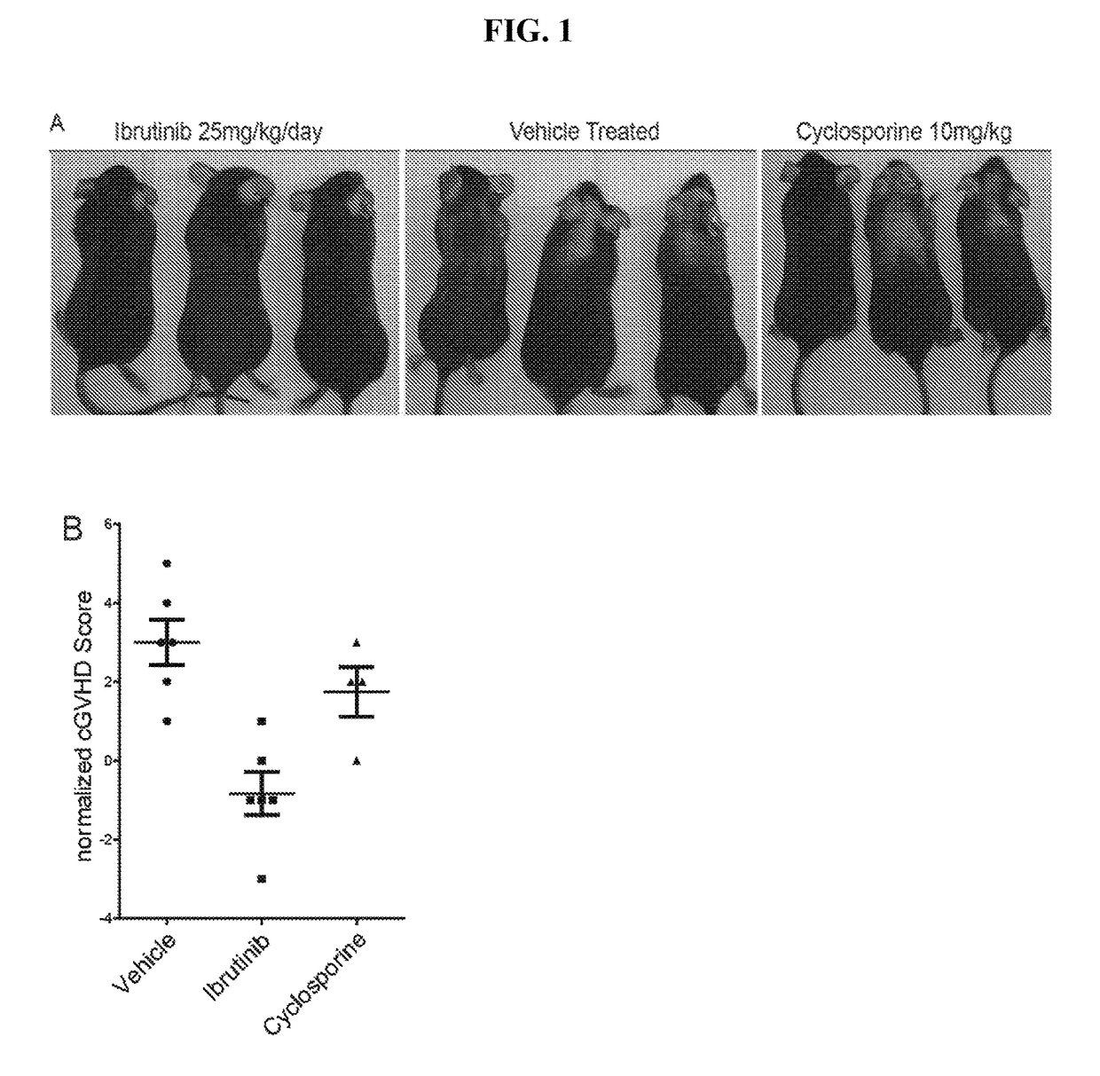 Methods of treating and preventing graft versus host disease