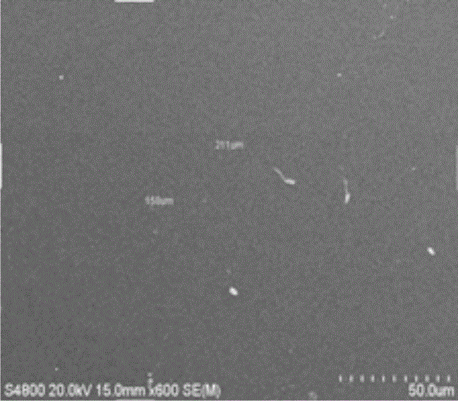 A detection method for chemical bonding at the interface of tie paint/antifouling paint organic coating