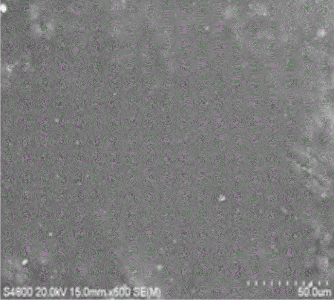 A detection method for chemical bonding at the interface of tie paint/antifouling paint organic coating