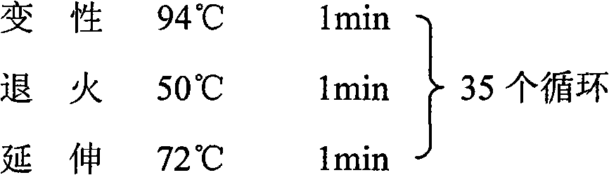 Method for analyzing diversity of biological enzyme genes in compost