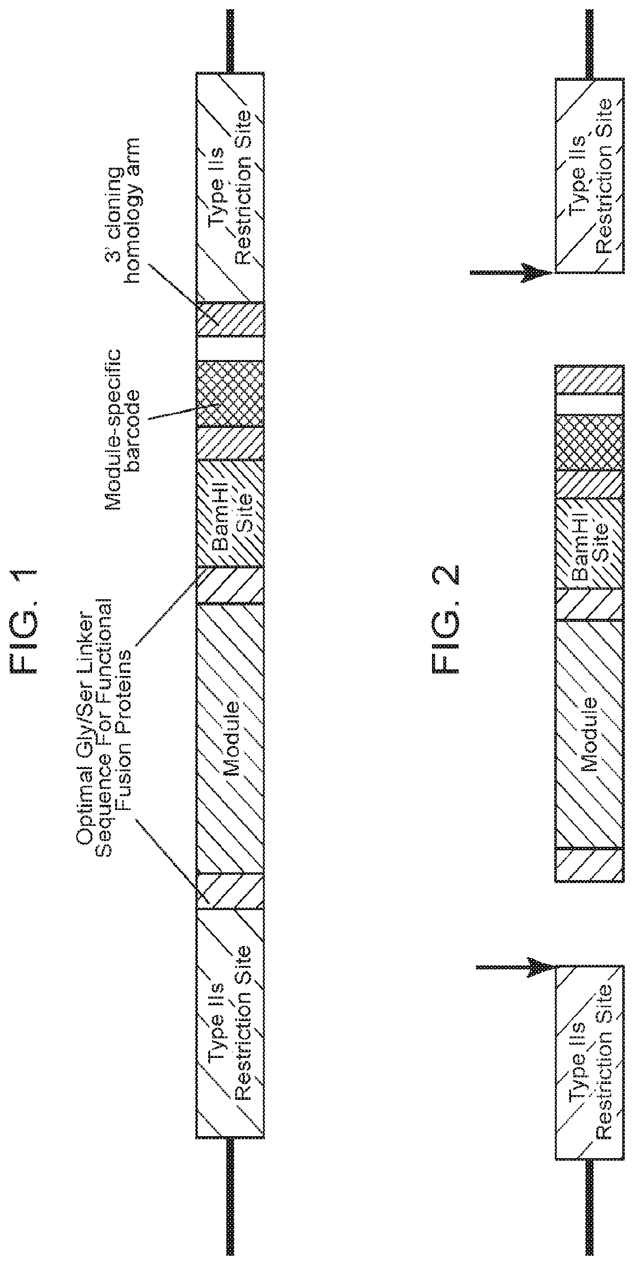 Modular polypeptide libraries and methods of making and using same