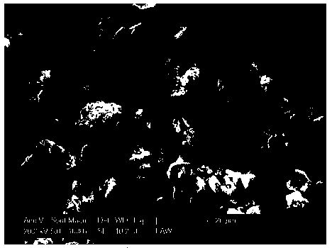 Hybrid energy storage device with zinc ion battery and supercapacitor