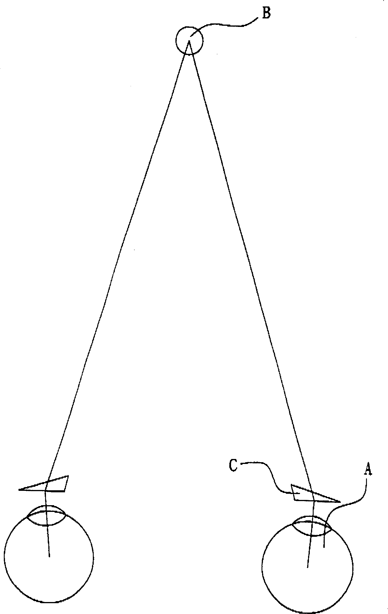 Dynamic lens vision training apparatus and method thereof