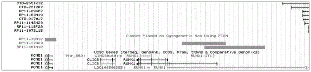 AML1 gene and ETO gene detection probe, preparation method thereof and reagent kit