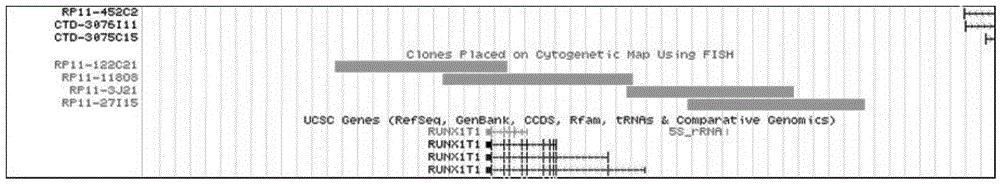 AML1 gene and ETO gene detection probe, preparation method thereof and reagent kit