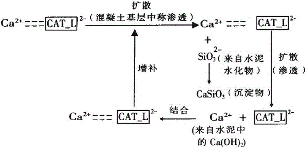 Slow-setting type waterproof mortar having self-repairing function and secondary permeability resistance as well as preparation method thereof