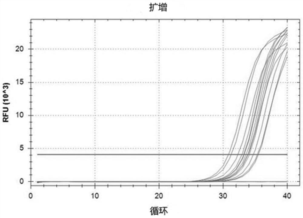 Respiratory tract virus nucleic acid sampling test kit and application thereof