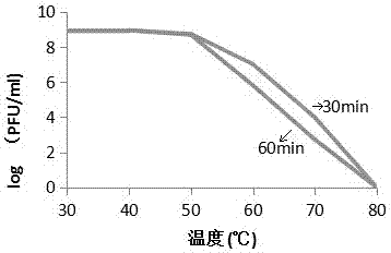 Coliphage and application thereof