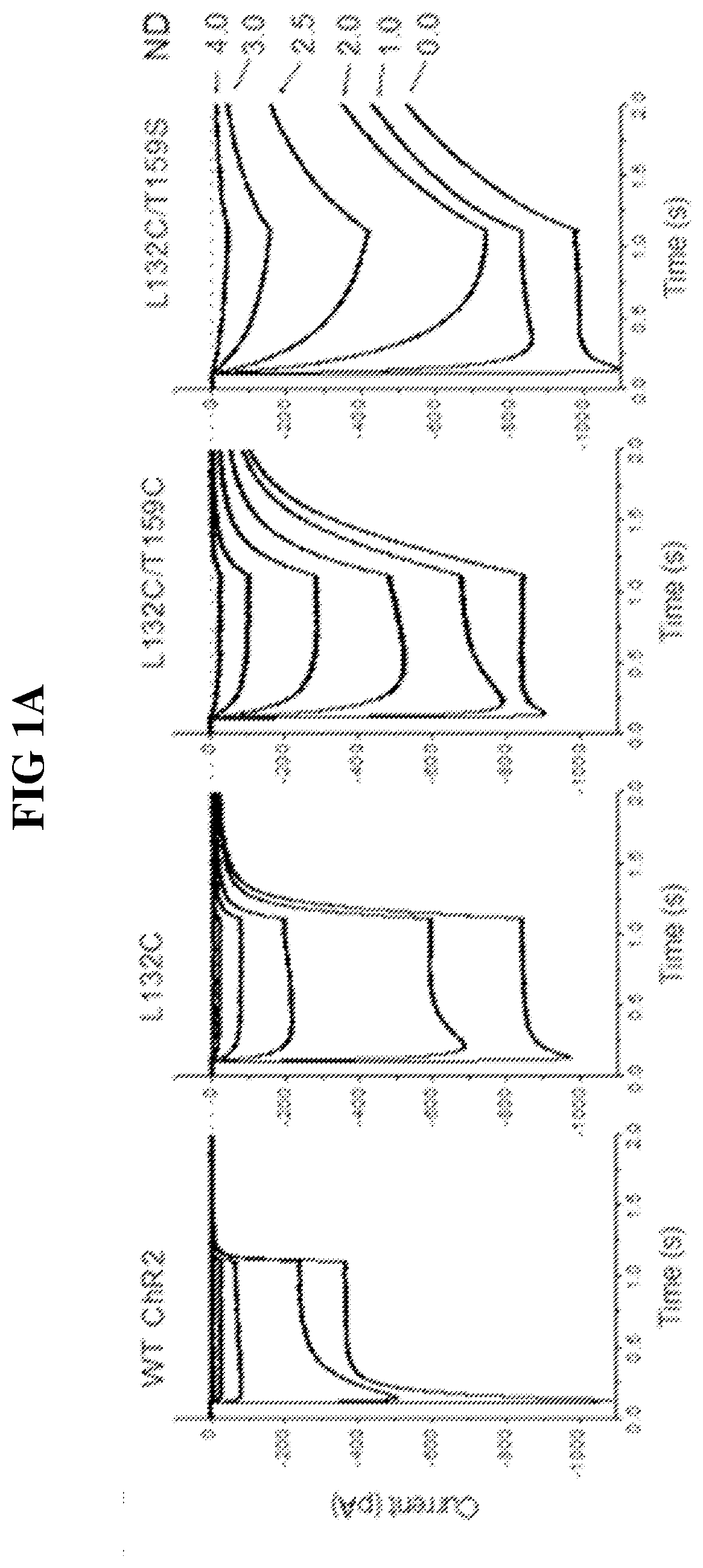 Identification of channelrhodopsin-2 (CHR2) mutations and methods of use