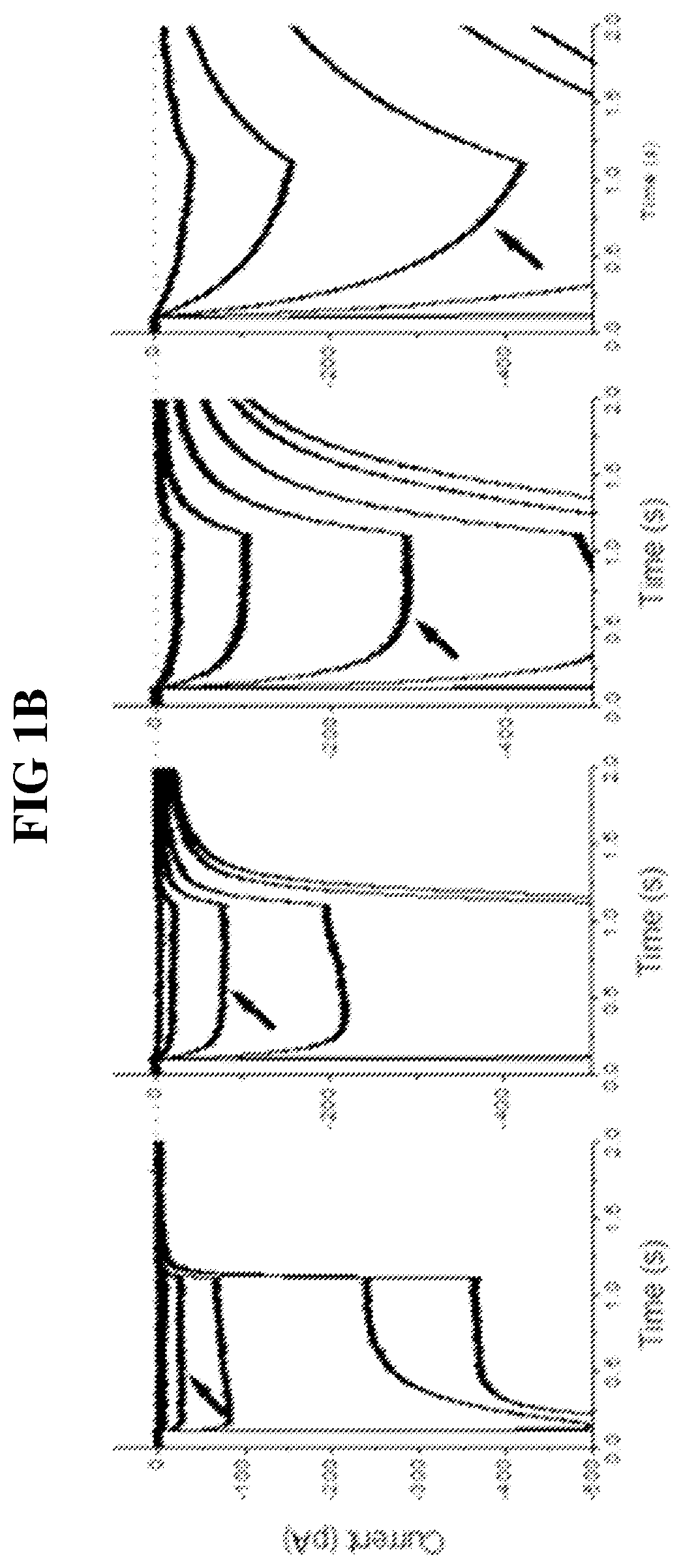 Identification of channelrhodopsin-2 (CHR2) mutations and methods of use