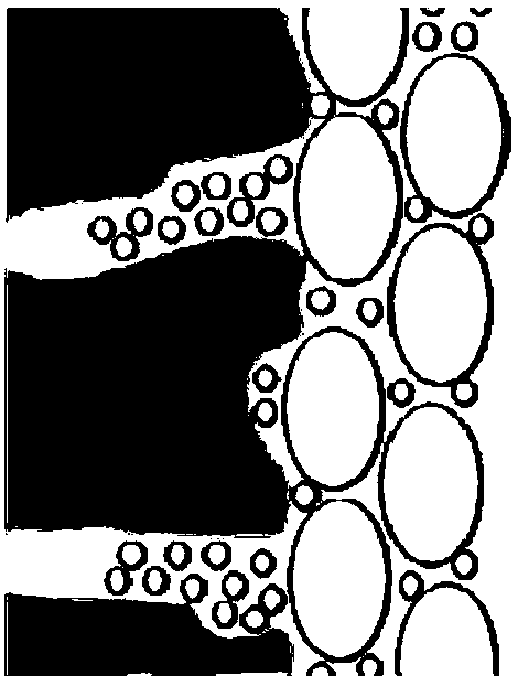 Concrete primer, preparation method of concrete primer and concrete structure body