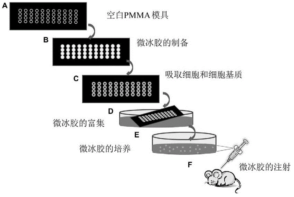 System and method for constructing injectable three-dimensional cell microenvironment based on microcryogel