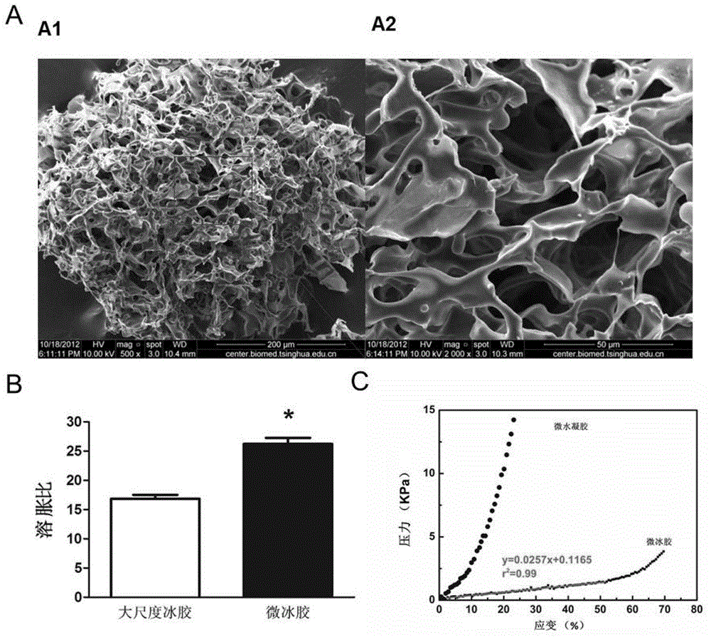 System and method for constructing injectable three-dimensional cell microenvironment based on microcryogel