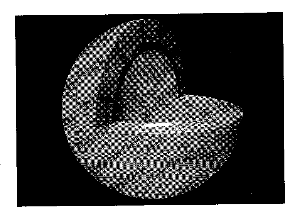 Method for preparing hollow ball with polymer complex structure by swelling polymerization