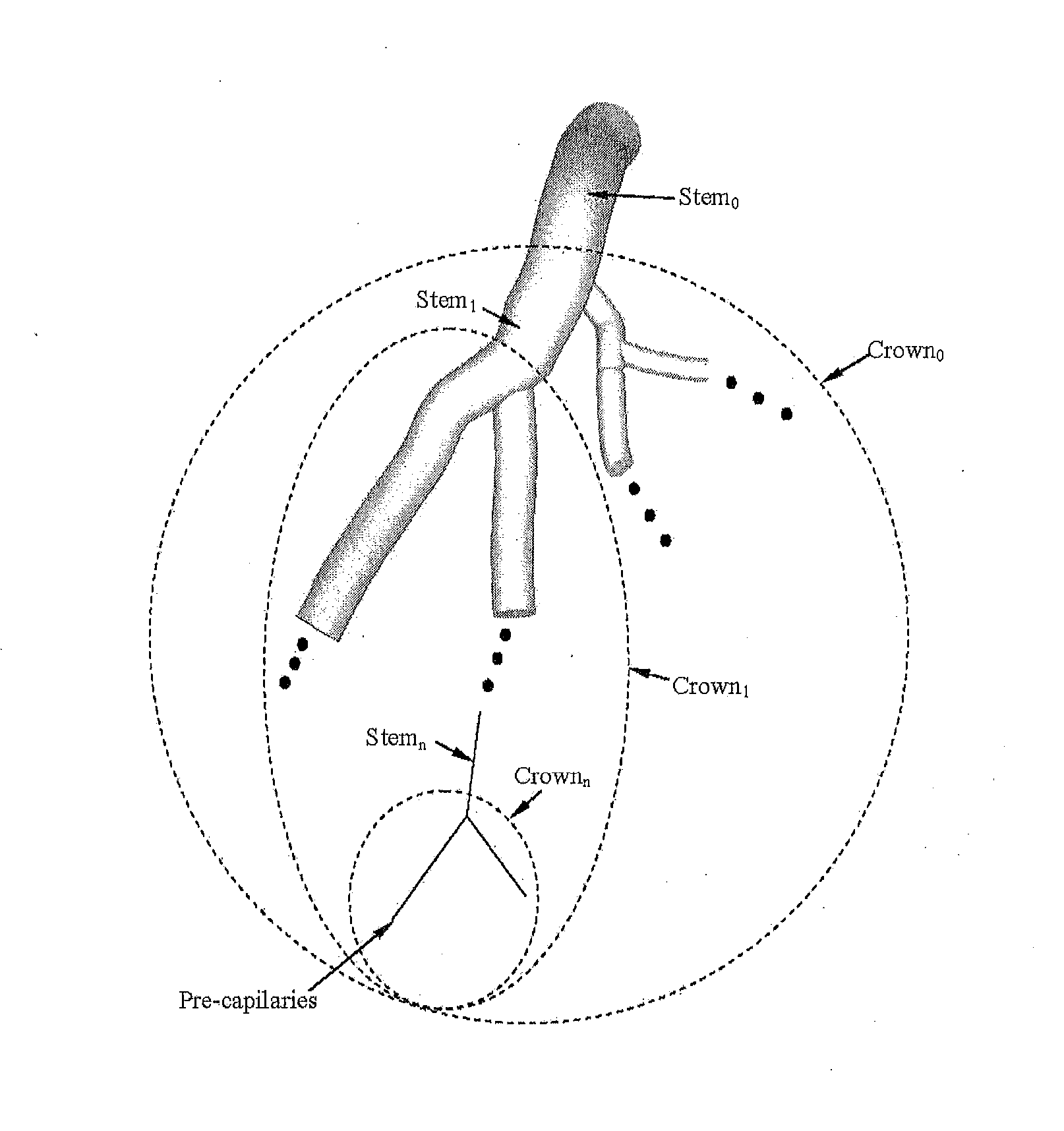 Systems and methods to obtain a myocardial mass index indicative of an at-risk myocardial region