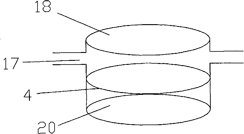 Tumor cell drug resistance detecting chip