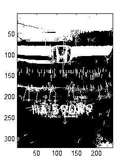 License number matching algorithm based on digital image processing