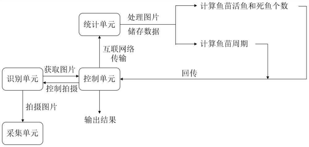 Fry counting internet-of-things equipment and fry condition statistical method