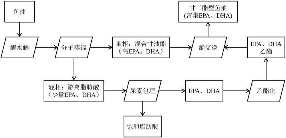 Method for preparing glyceride rich in EPA and DHA through enzyme catalysis