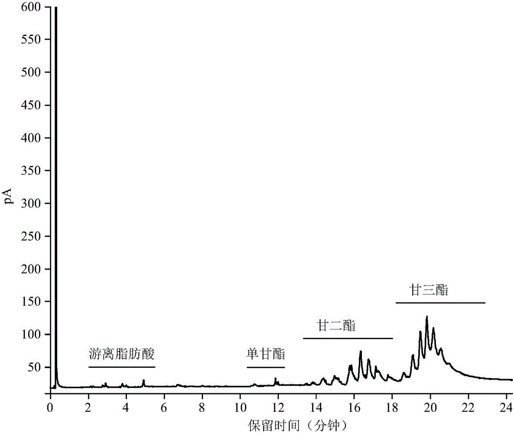 Method for preparing glyceride rich in EPA and DHA through enzyme catalysis