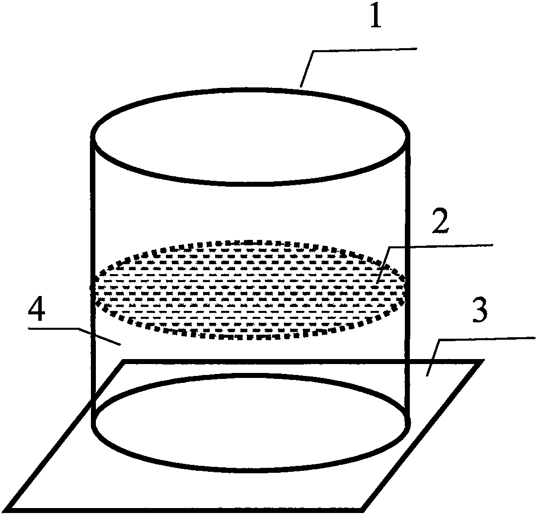 Dynamic cross-section demonstration device and method of cylinder