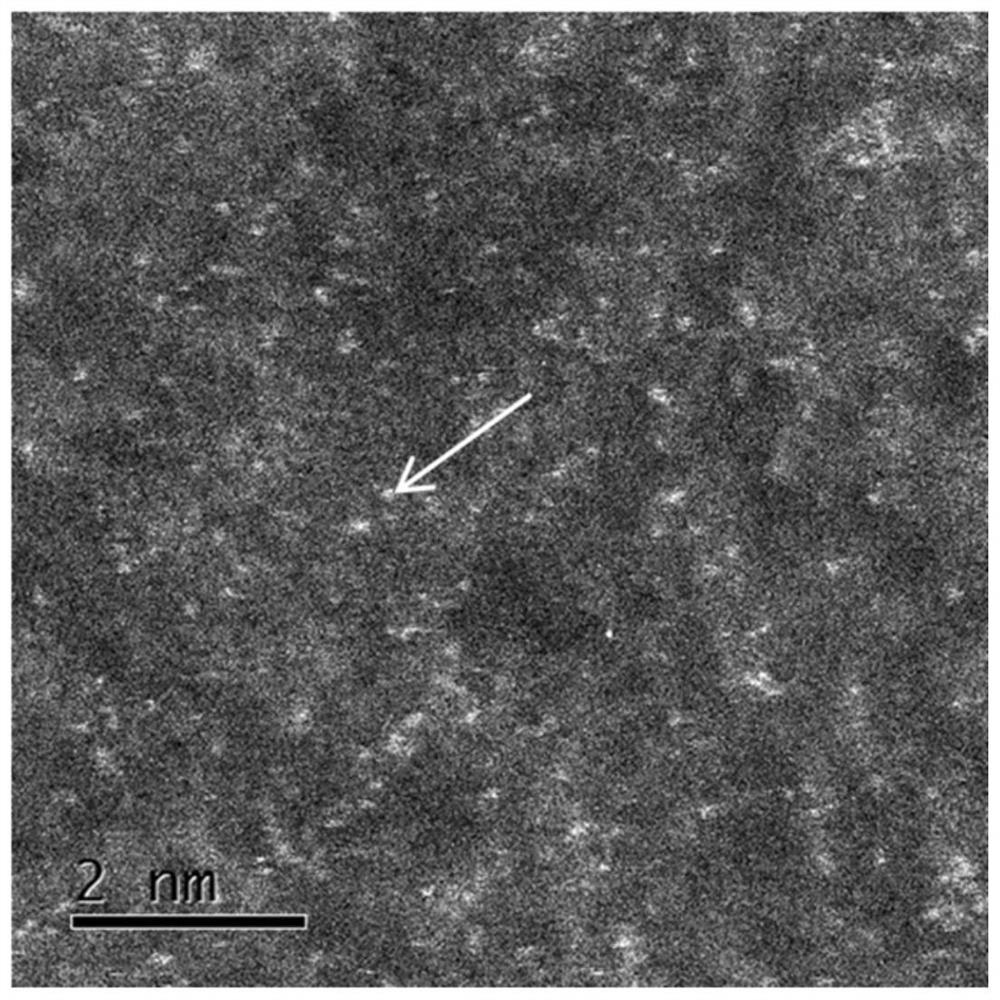 Biomass waste residue-based monatomic metal catalyst as well as preparation method and application thereof