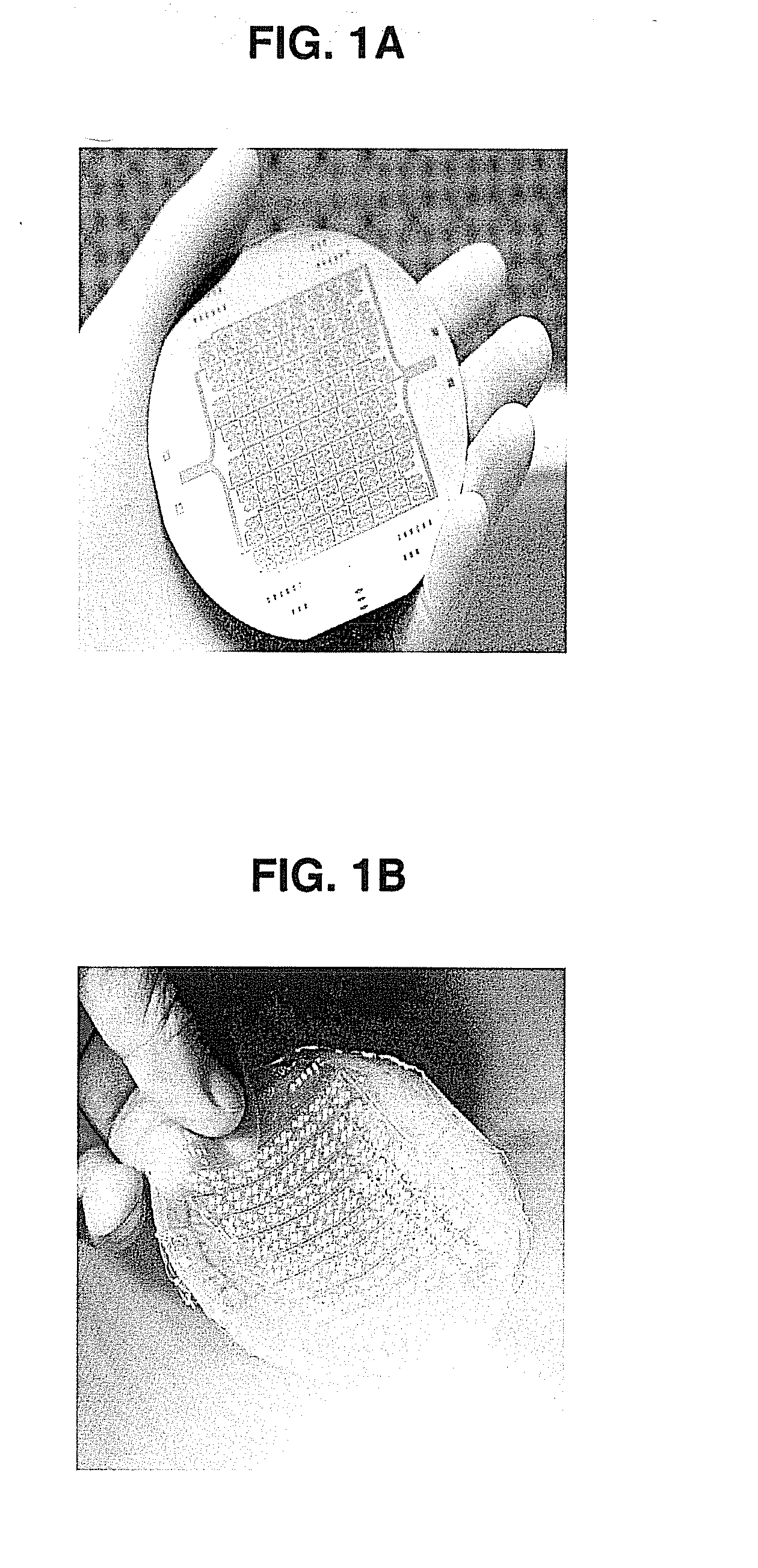 Fabrication of vascularized tissue using microfabricated two-dimensional molds
