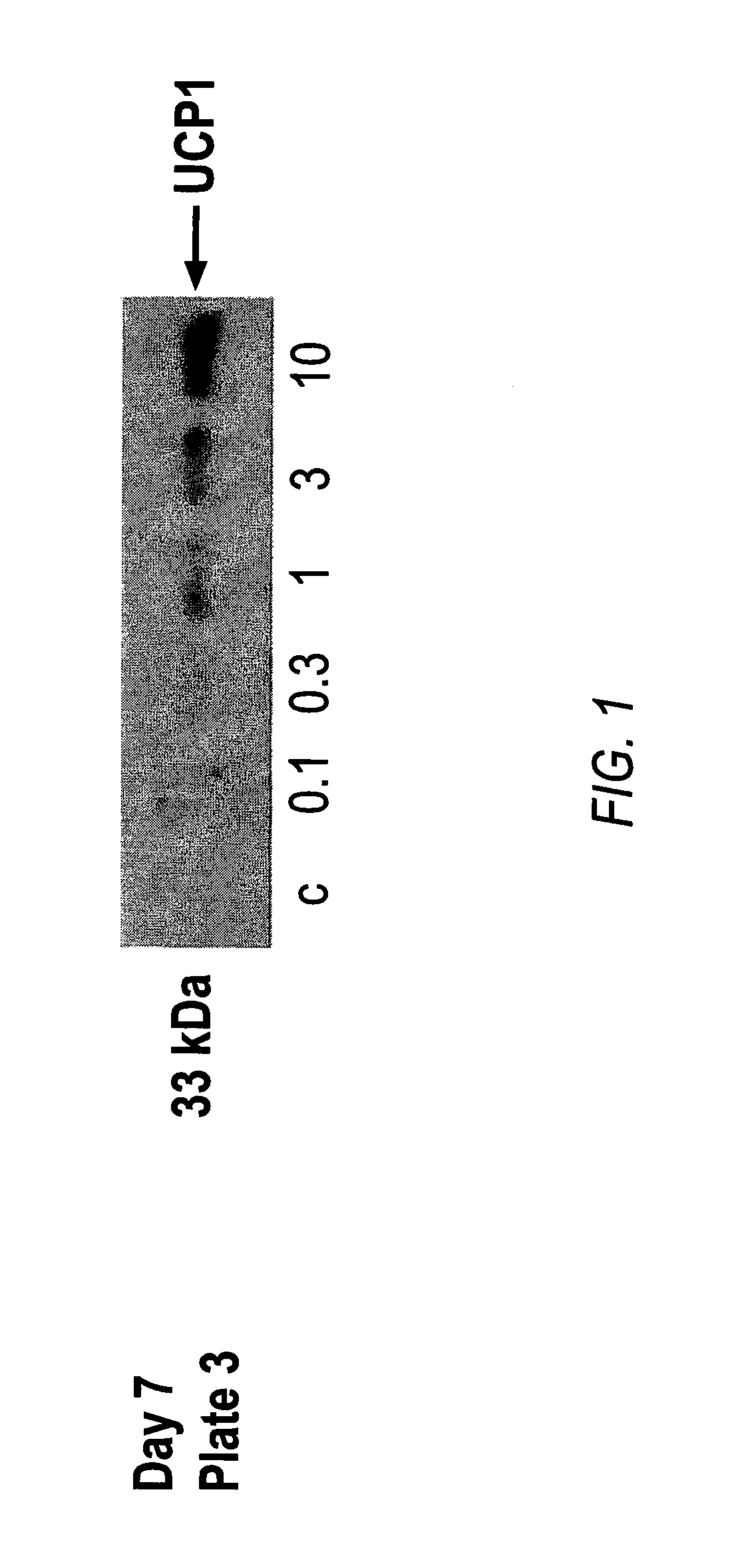 Ppar-sparing thiazolidinediones and combinations for the treatment of neurodegenerative diseases