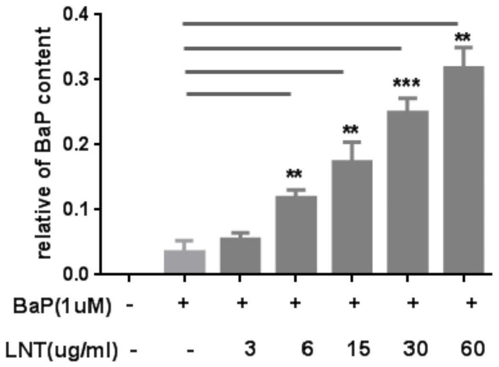 New application of lentinan extract and skin care composition with anti-smog effect and preparation method thereof