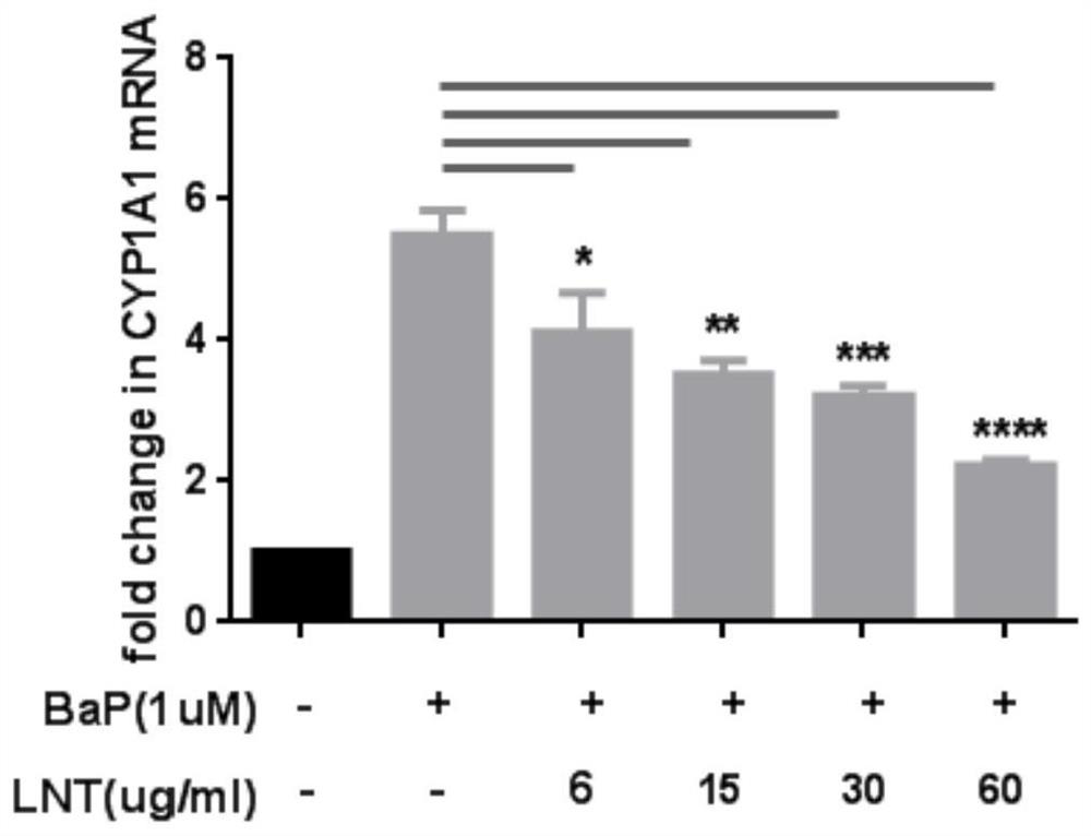 New application of lentinan extract and skin care composition with anti-smog effect and preparation method thereof