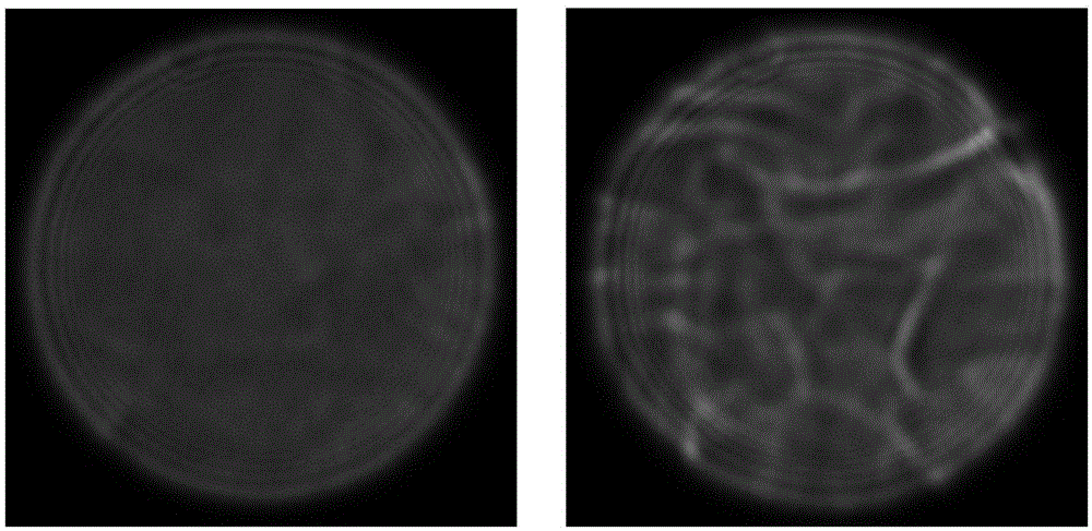 Astronomical object imaging system