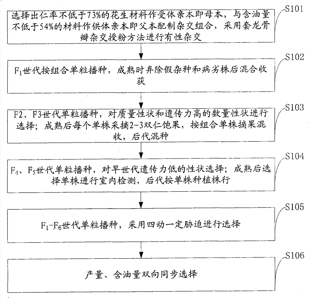 Breeding method for high-yield, high-oil and widely suitable peanut varieties