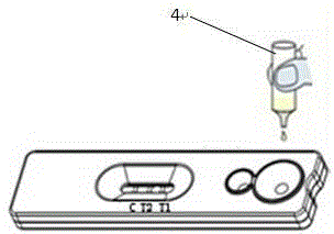 Mycoplasma pneumoniae and Chlamydia pneumoniae combined detection reagent card, and Mycoplasma pneumoniae and Chlamydia pneumoniae combined detection kit and detection method thereof