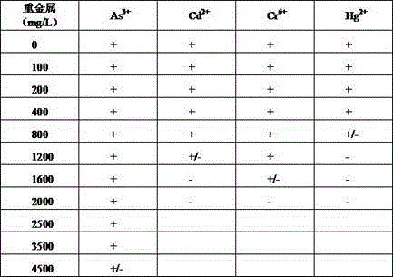 Anti-antimony bacteria NXH3 and application thereof