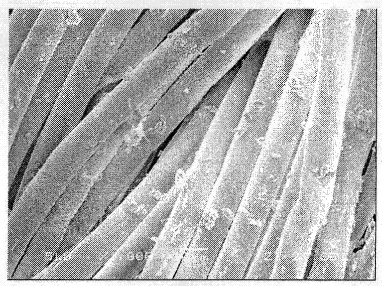 A test method for impurities on the surface of polyester fibers after dyeing cheese