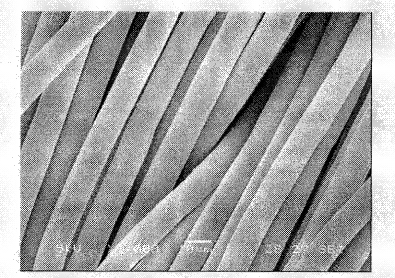 A test method for impurities on the surface of polyester fibers after dyeing cheese