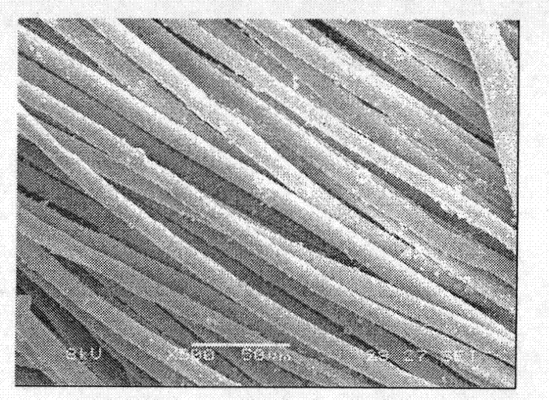 A test method for impurities on the surface of polyester fibers after dyeing cheese