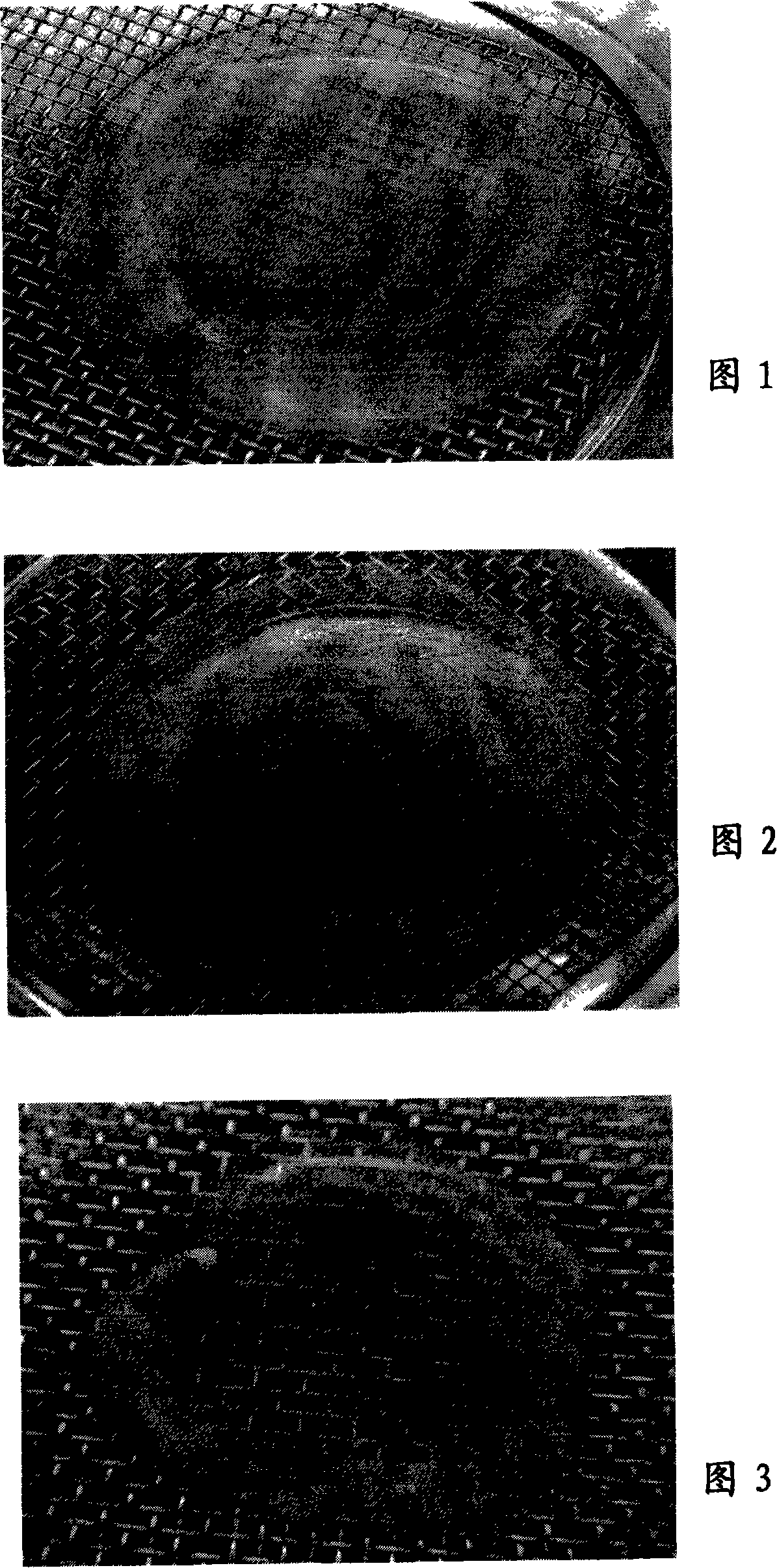 Organization engineering skin containing adipose layer and method of preparing the same